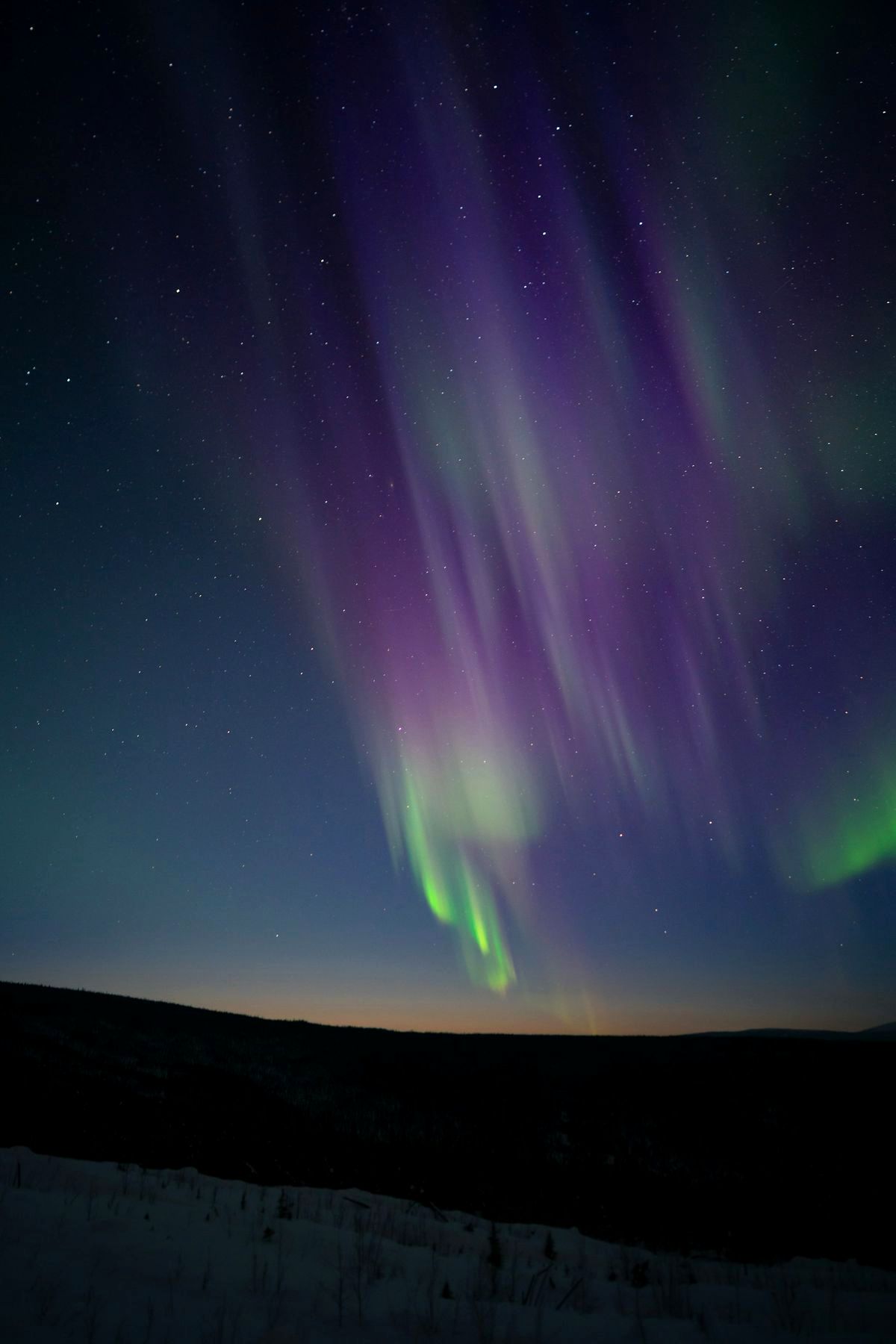 Ruta de las Auroras Boreales en Alaska