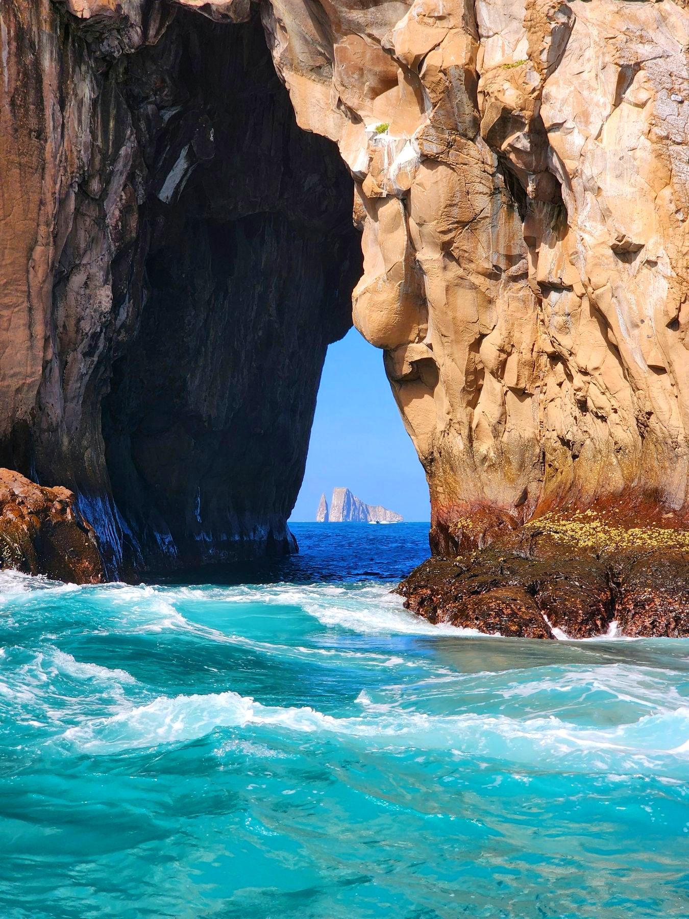 Galápagos a tu Alcance: 9 Días