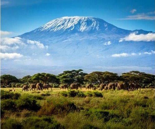 Safari en Tanzania