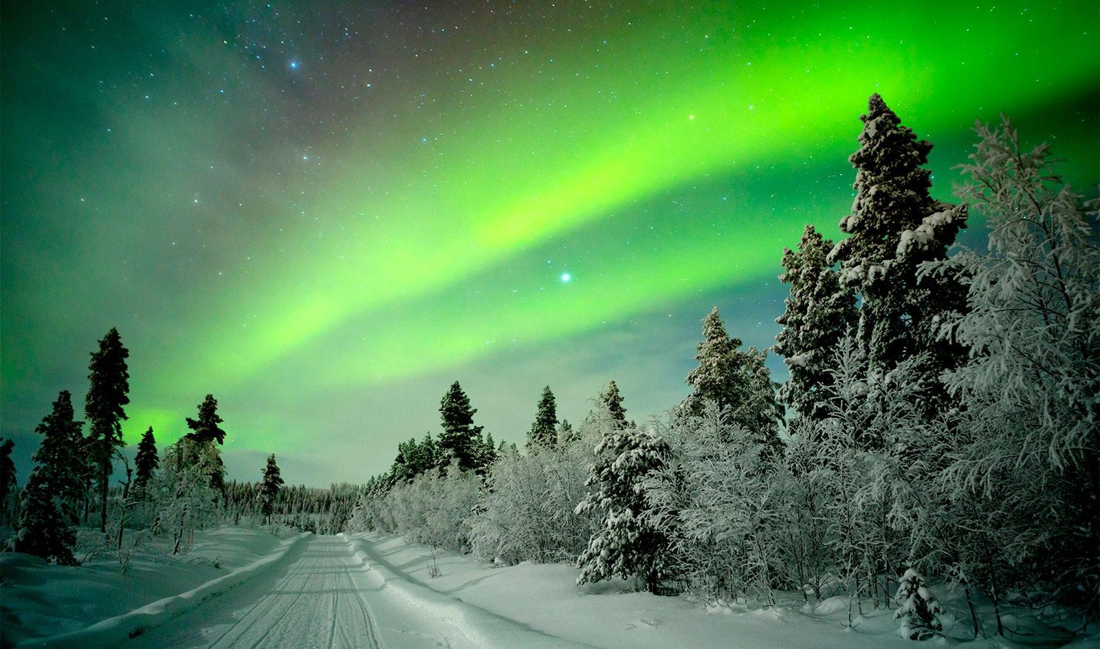 Aurora Boreal