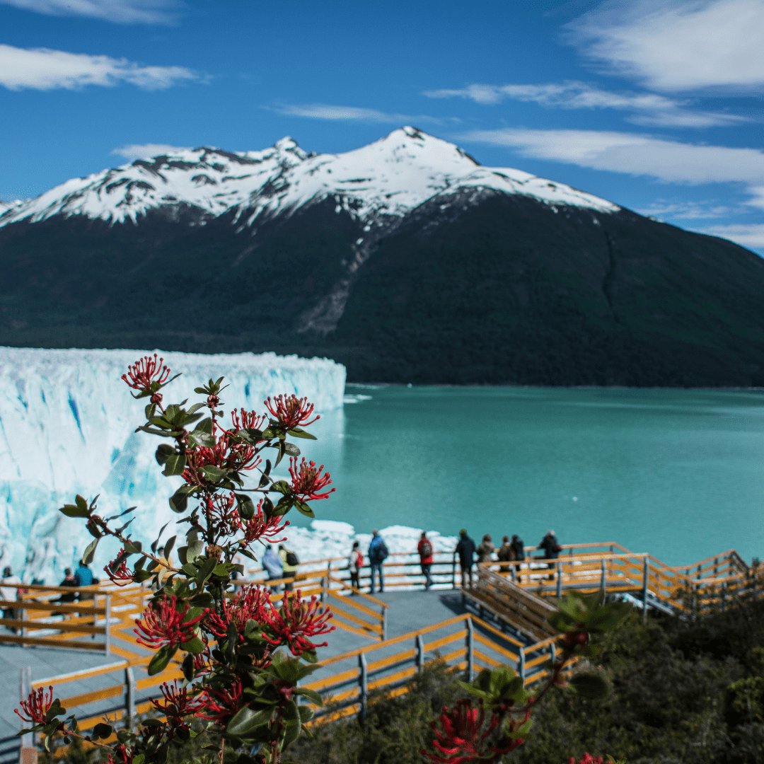El Calafate Básico