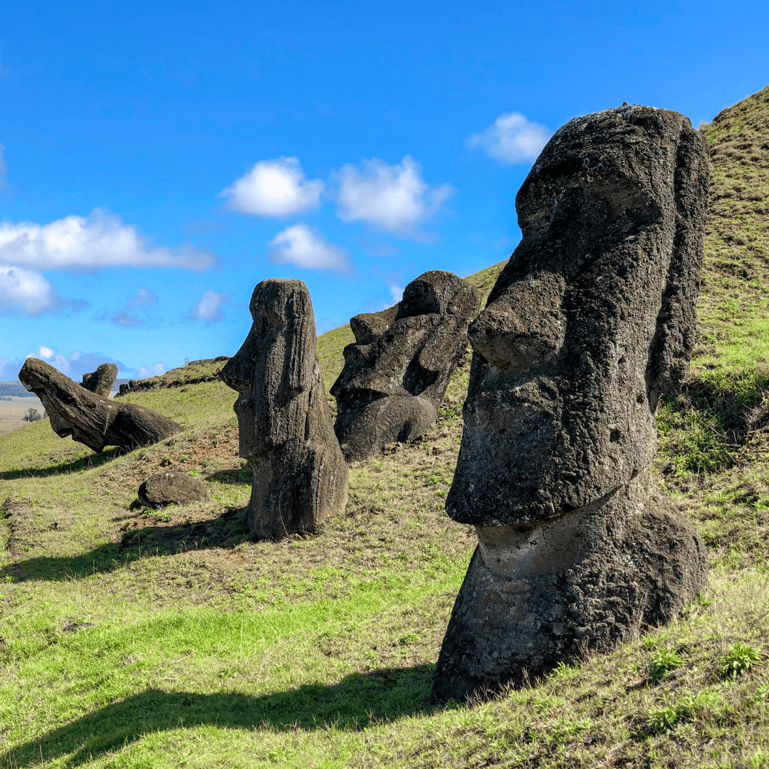 Rapa Nui Total