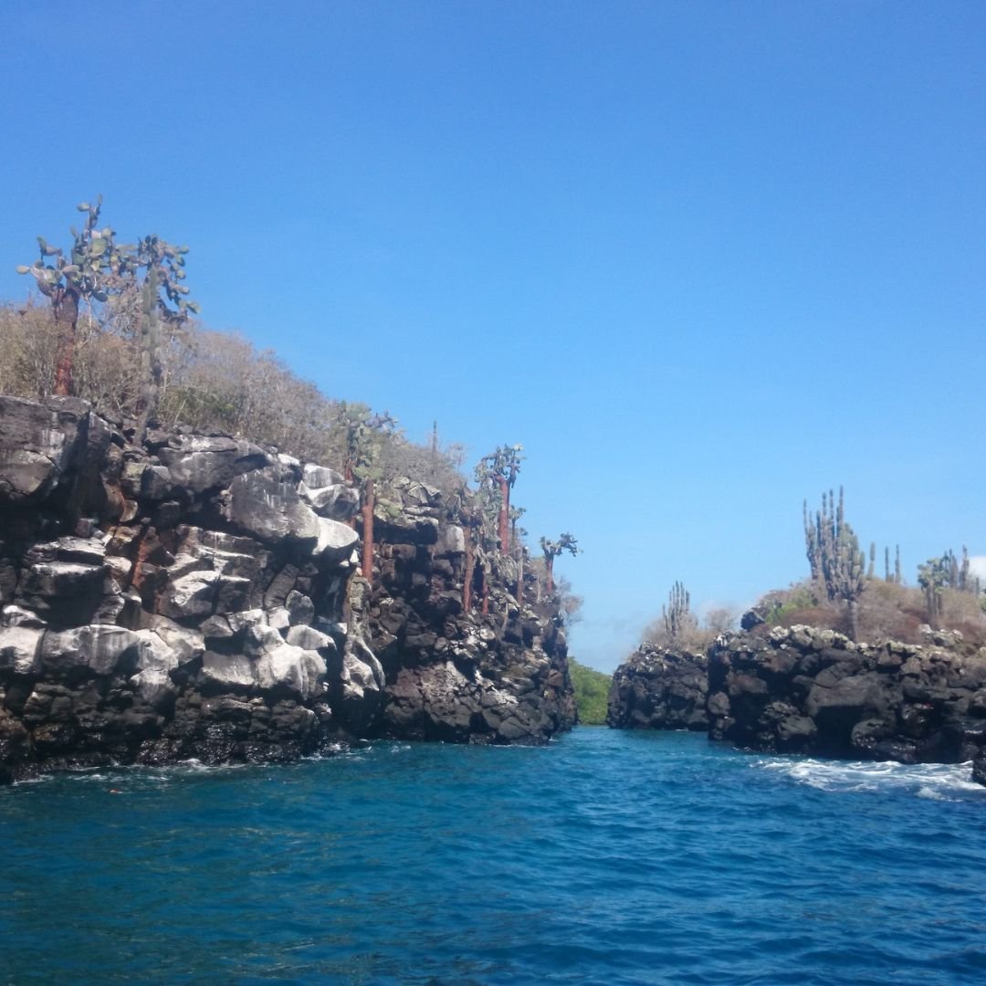 Triángulo de Oro con Galápagos