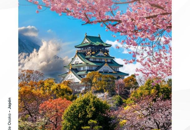 Japón: Temporada de Cerezos