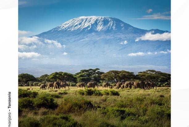 Safari en Tanzania
