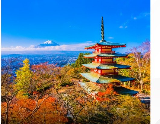 ¡Viva Japón!